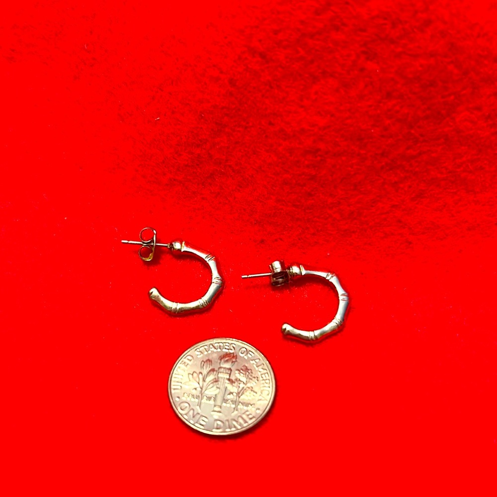 Women’s Vintage Silver small Hoop Bamboo pierced Earrings